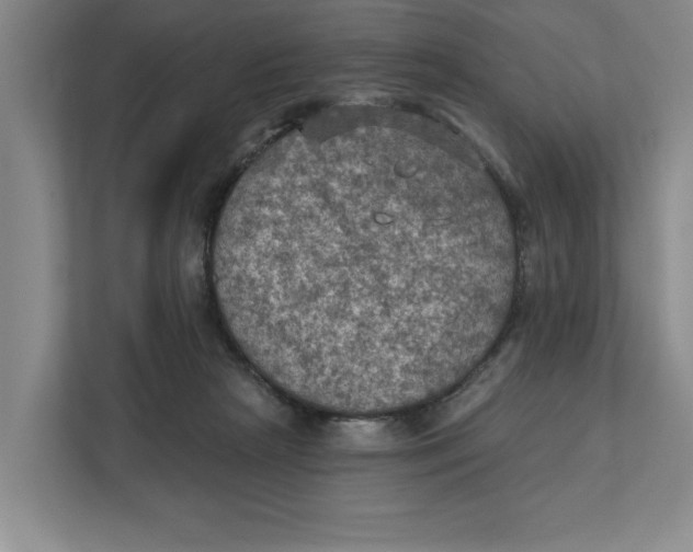 X0000112350265200909101049