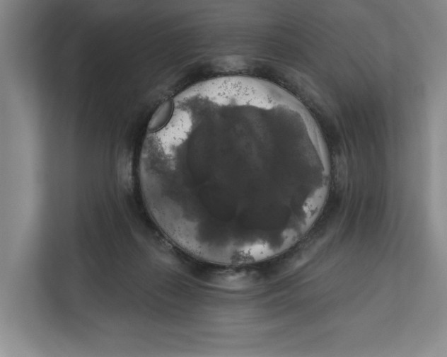 X0000112350267200909101049