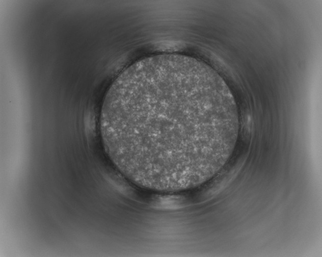 X0000112350268200909101049