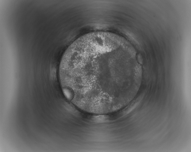 X0000112350269200909101049