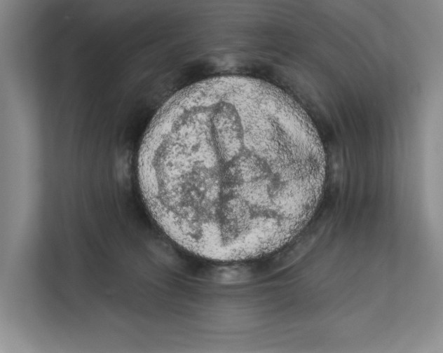 X0000112350275200909101049