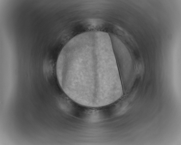 X0000112350276200909101049