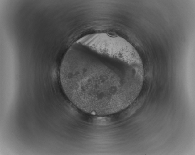 X0000112350277200909101049