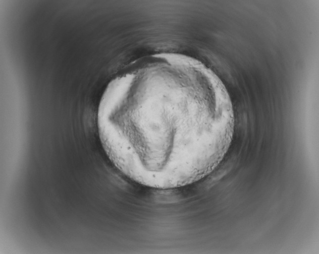 X0000112350281200909101049