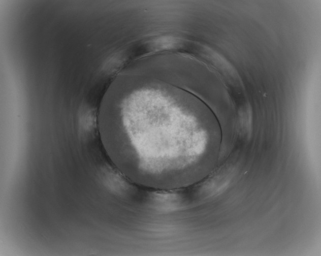 X0000112350284200909101049