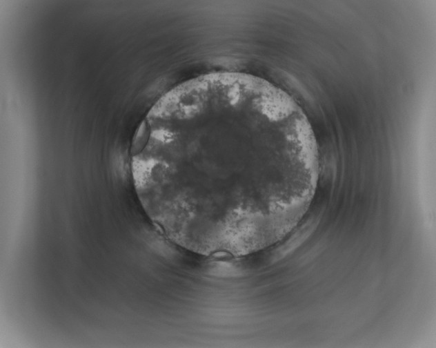 X0000112350285200909101049