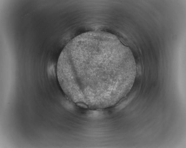 X0000112350286200909101049