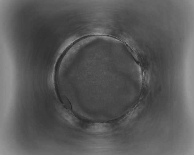 X0000112350292200909101049