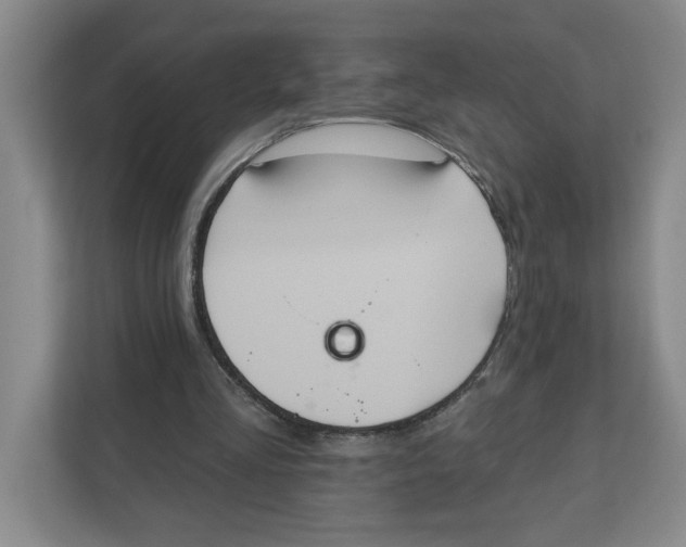 X0000112350293200909101049