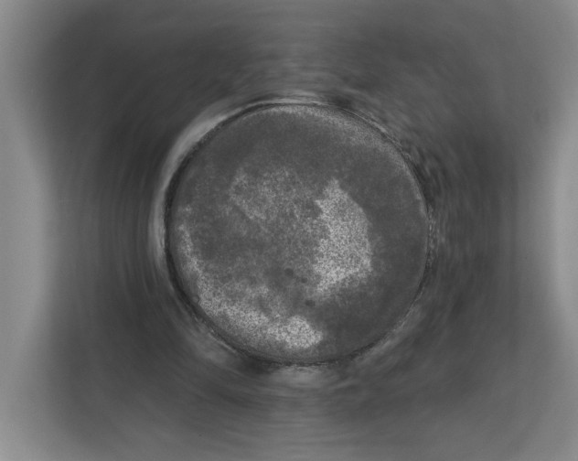 X0000112350294200909101048