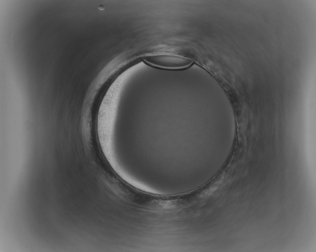 X0000112350295200909101048