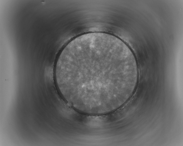 X0000112350297200909101048