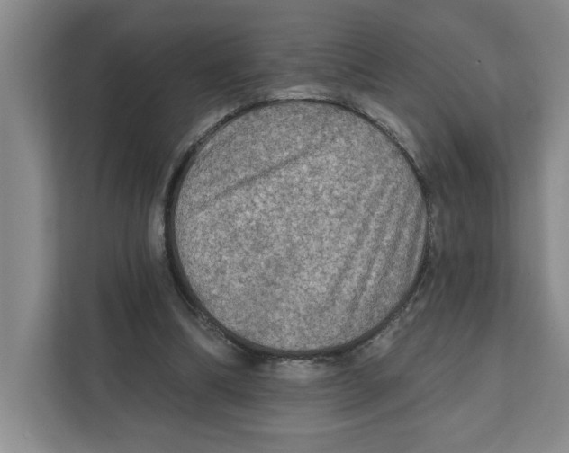 X0000112350298200909101048