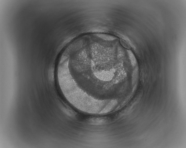 X0000112350299200909101048