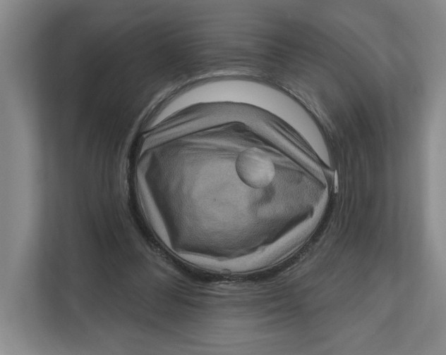 X0000112350300200909101048