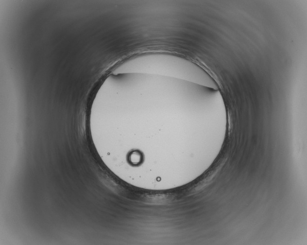 X0000112350301200909101048