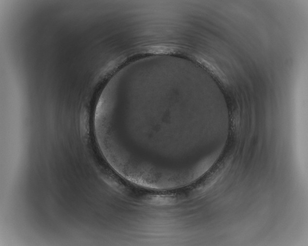 X0000112350303200909101048