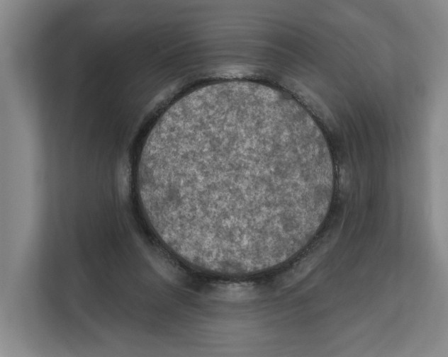 X0000112350304200909101048