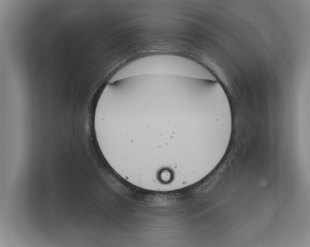 X0000112350305200909101048