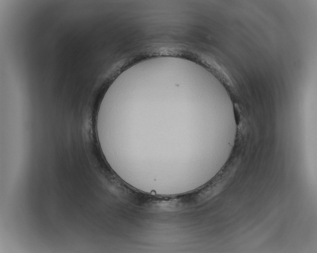 X0000112350306200909101048