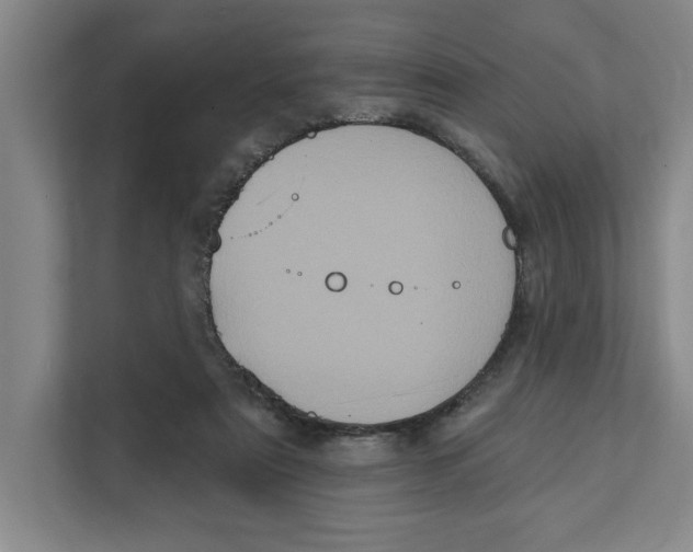 X0000112350307200909101048