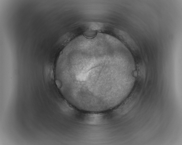 X0000112350313200909101048