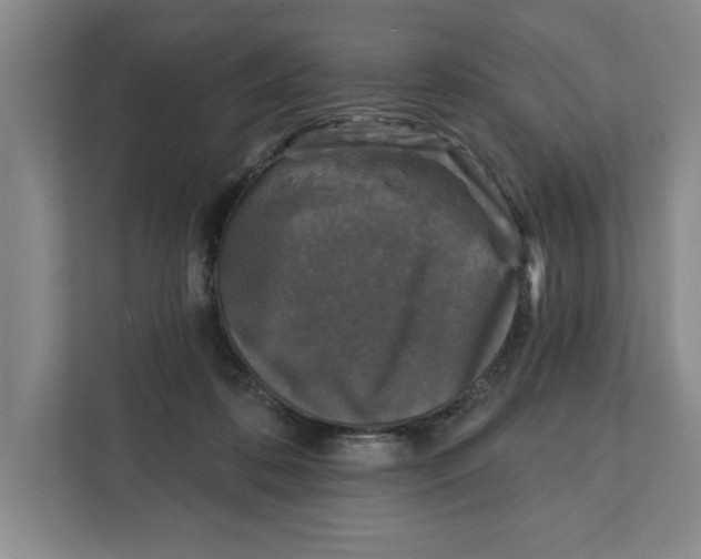 X0000112350316200909101048