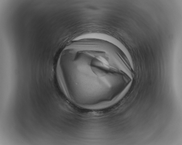 X0000112350320200909101048