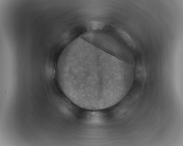 X0000112350324200909101048