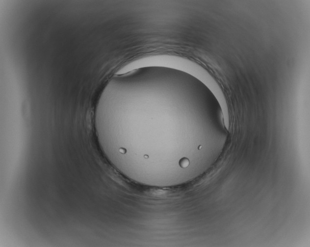 X0000112350325200909101048