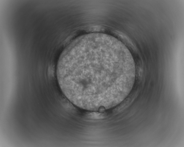 X0000112350326200909101048