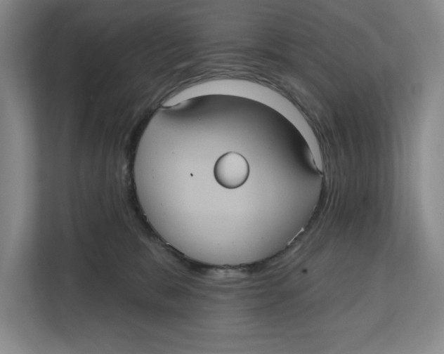 X0000112350327200909101048