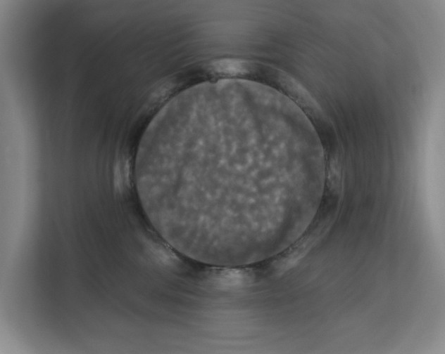 X0000112350330200909101048