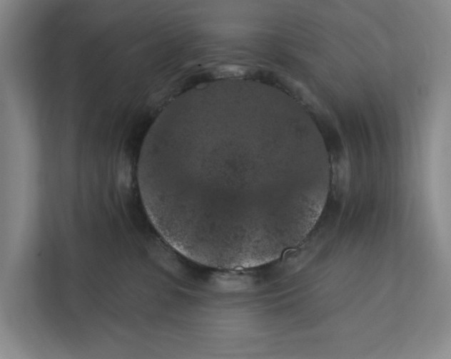 X0000112350331200909101048