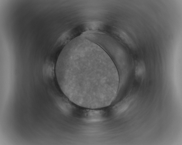 X0000112350332200909101048