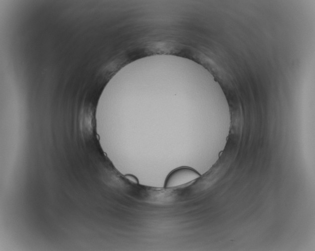 X0000112350334200909101048