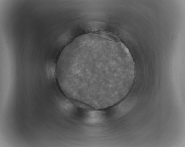 X0000112350336200909101048