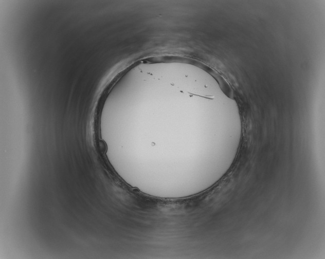 X0000112350340200909101047