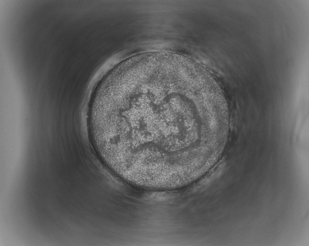 X0000112350341200909101047