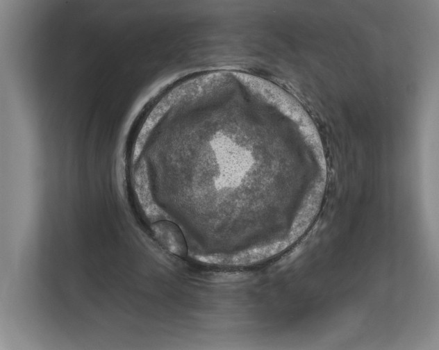 X0000112350342200909101047