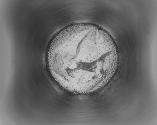 X0000112350345200909101047