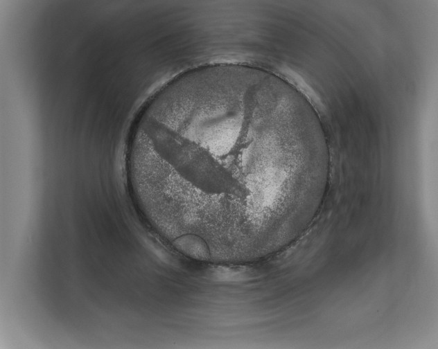 X0000112350346200909101047