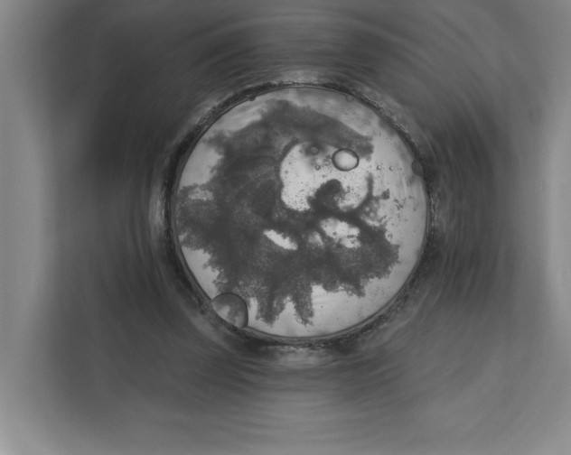 X0000112350347200909101047