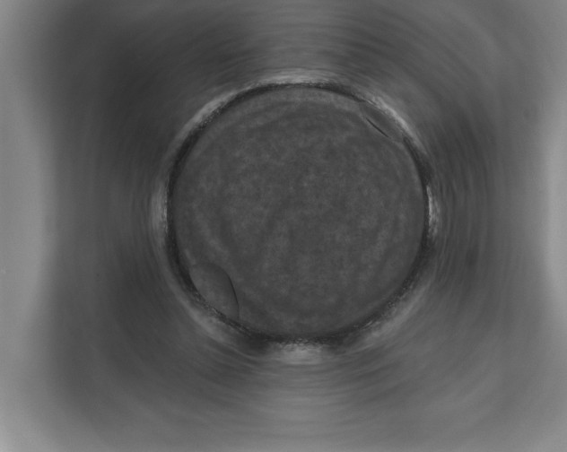 X0000112350348200909101047