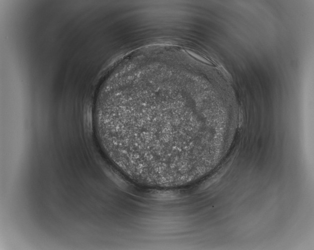 X0000112350349200909101047