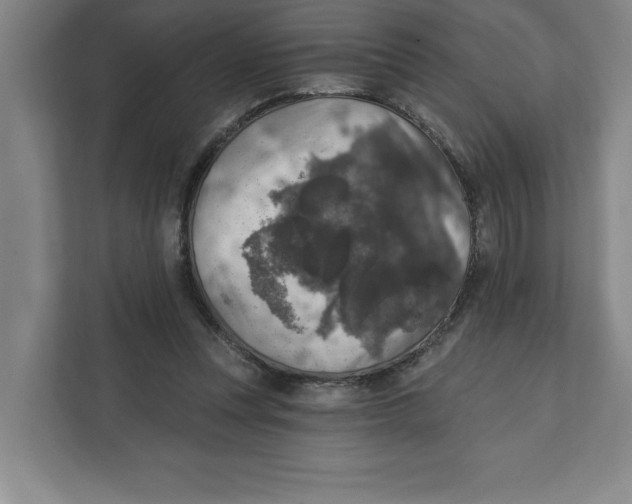 X0000112350351200909101048