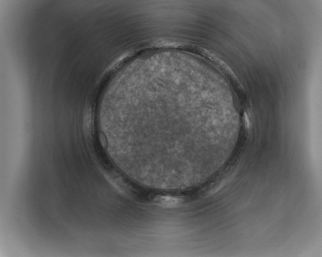 X0000112350352200909101048