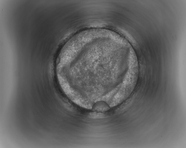 X0000112350354200909101048