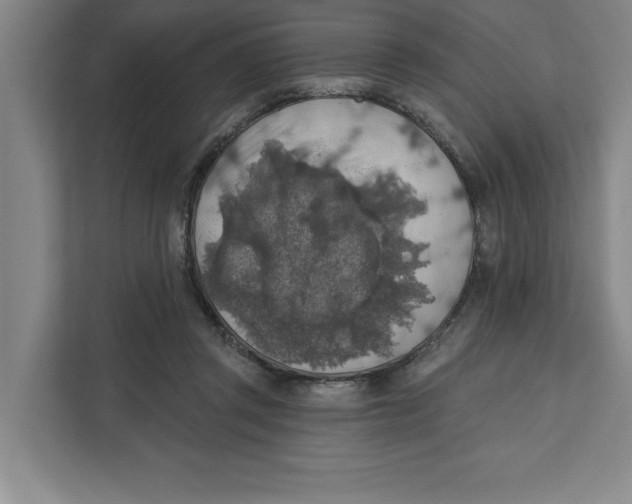 X0000112350357200909101048