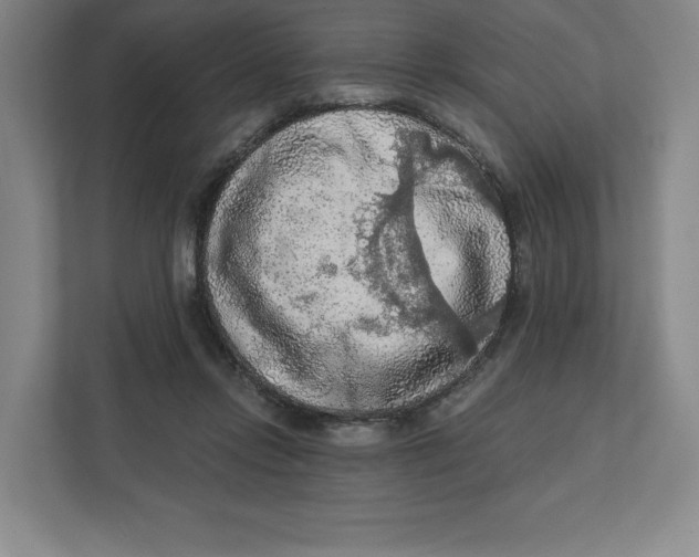 X0000112350358200909101048